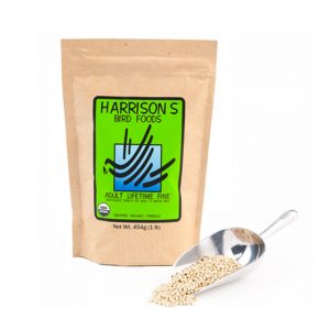 Harrison adult lifetime fino