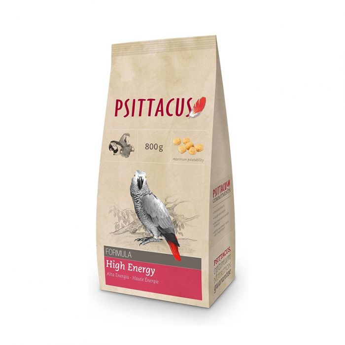 Psittacus high energy