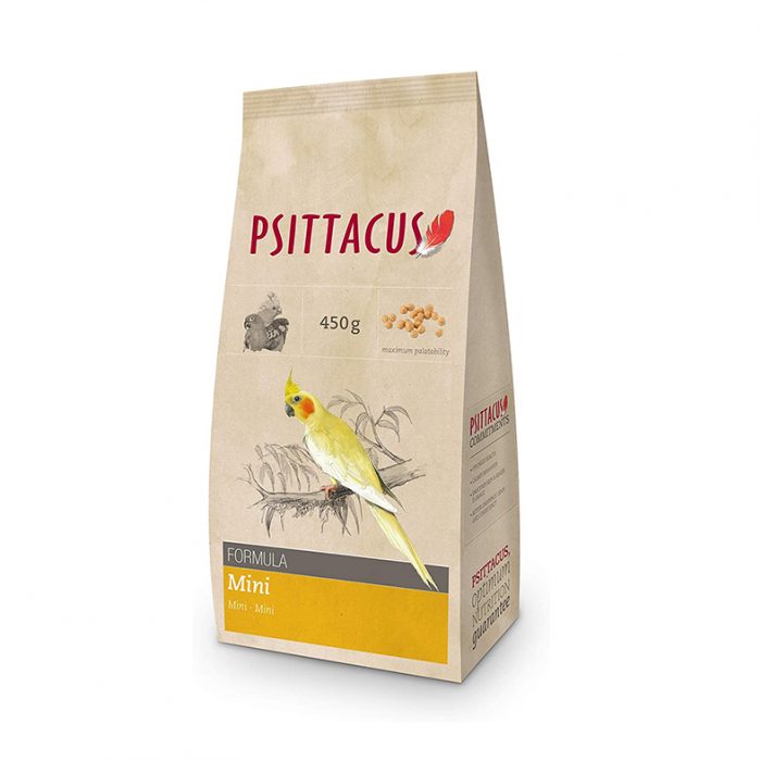 Psittacus mini