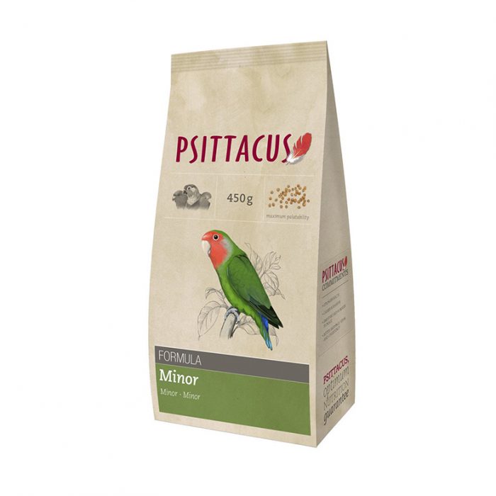 Psittacus minor
