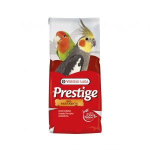 VerseleLaga prestige big parakeets