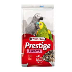 VerseleLaga prestige parrots