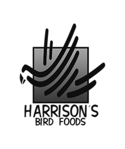 logo harrison gris