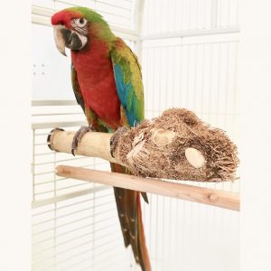 percha bambu