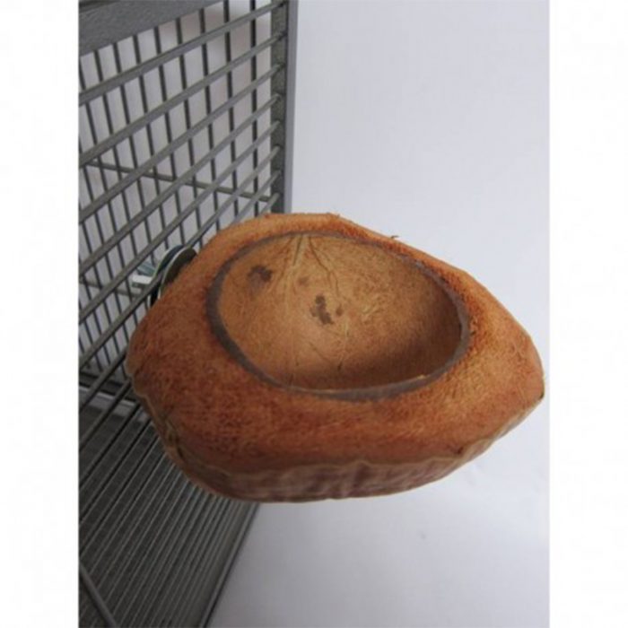 Coco con soporte