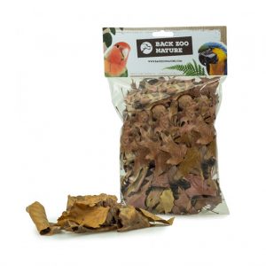 Hojas secas para loros
