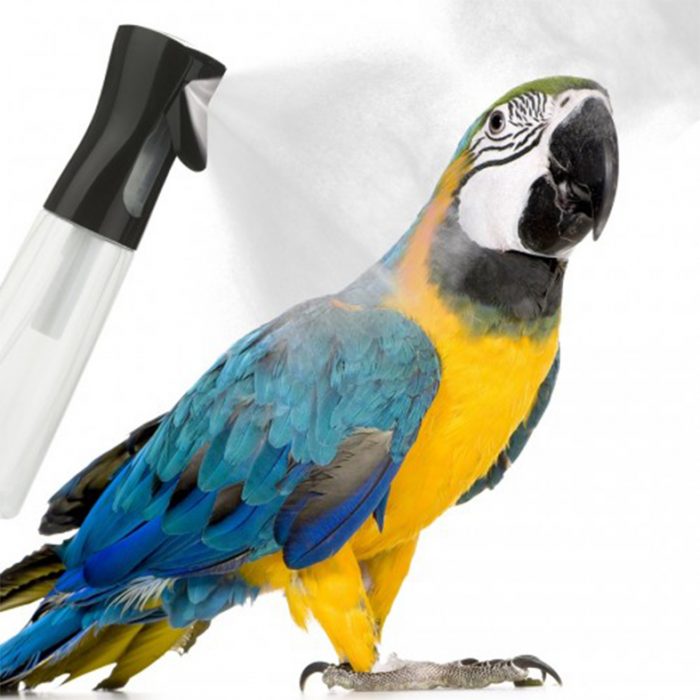 Nebulizador para loros