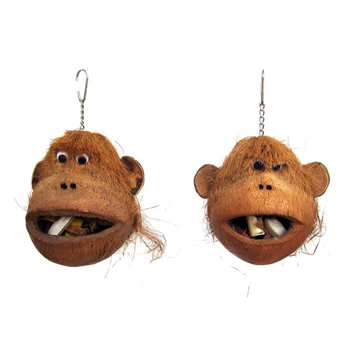 coco monkey
