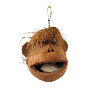 coco monkey