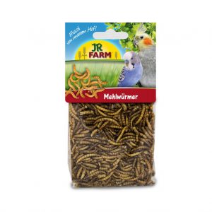 Gusanos de la Harina JR Farm