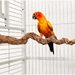 percha madera natural loropets