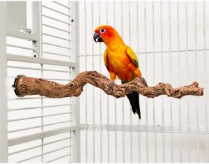 percha madera natural loropets