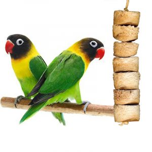 Mini Max Bird Kabob