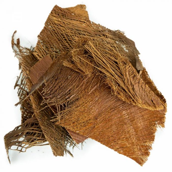 Detalle de corteza de palmera para loros