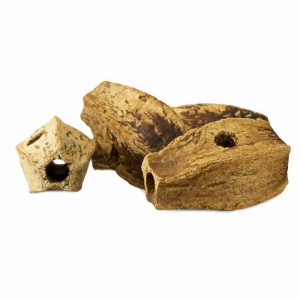 Cápsulas de caoba natural para loros