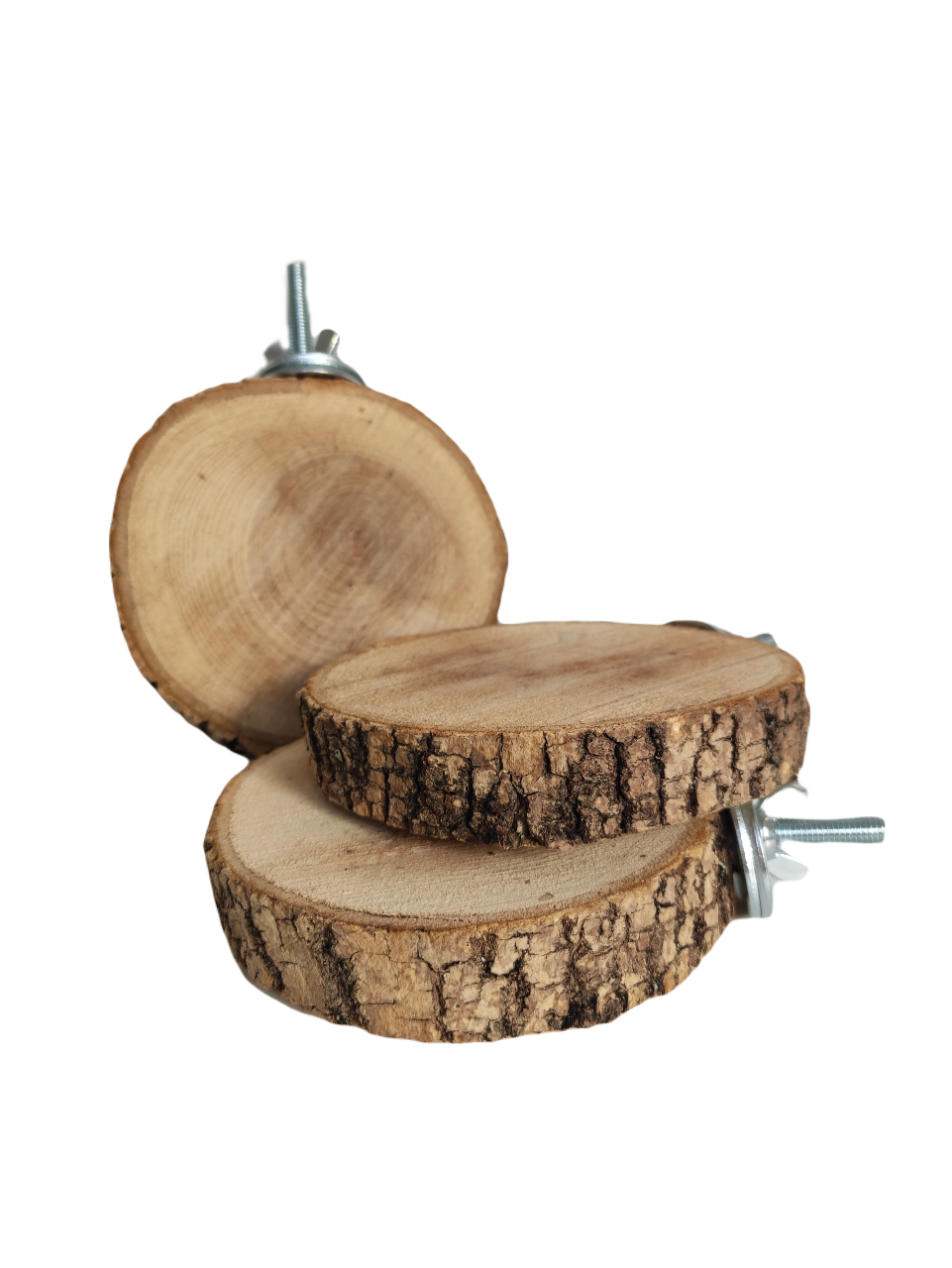 Conjunto de perchas plataforma para loros