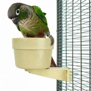 Comedero antivuelco para loros