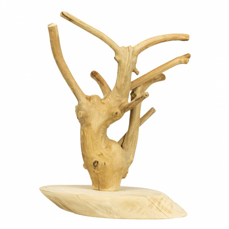 Árbol de java para aves pequeñas