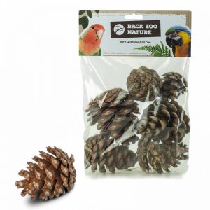 Piñas para juguetes y forrajeo loros