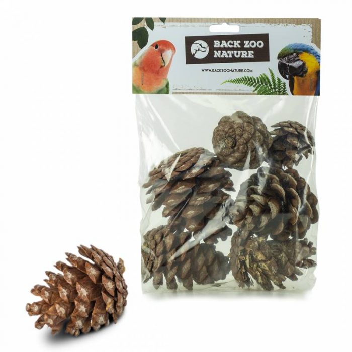 Piñas para juguetes y forrajeo loros