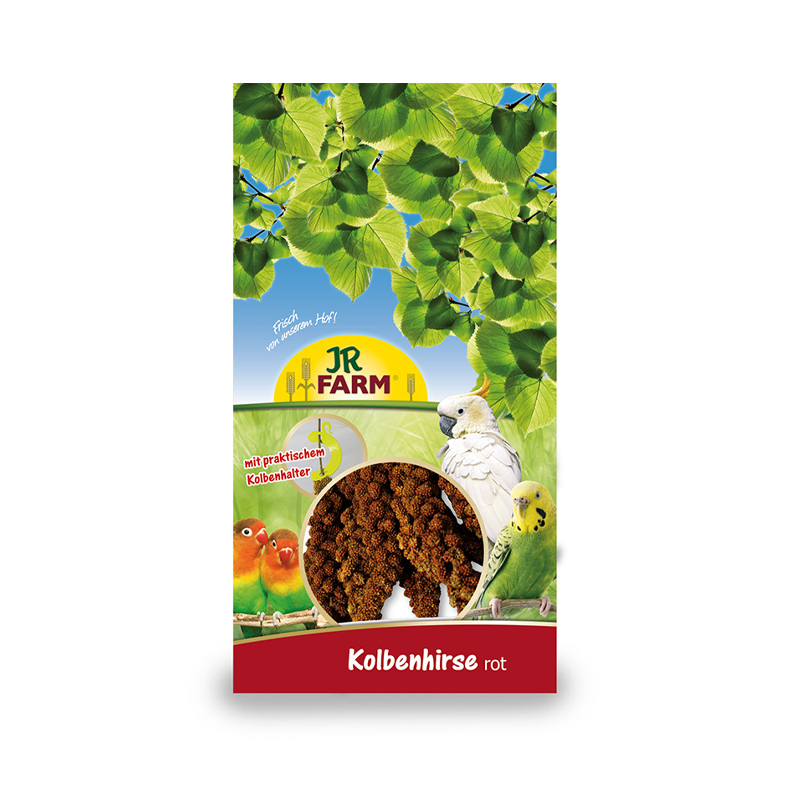 Alpiste en rama de semillas para loros