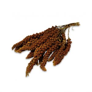 Popurrí de mijo JR Farm