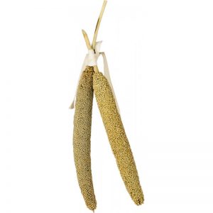 Ramas de mijo snacks para loros