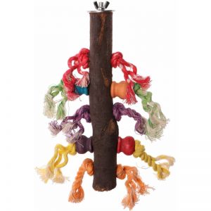 Percha de madera natural para loros