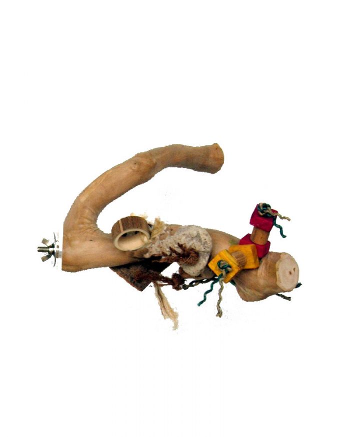 Percha natural para loros