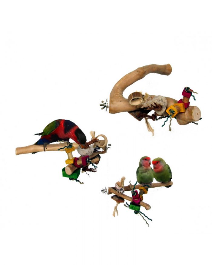 Conjunto de perchas de java para loros