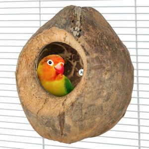 Coco gigante para loros
