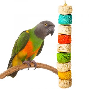 Juguete natural para morder los loros