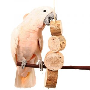 Juguete natural para picotear loros