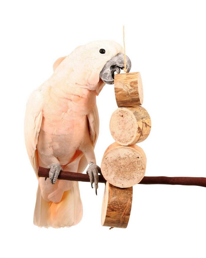 Juguete natural para picotear loros