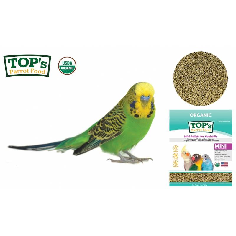 Pienso para aves y loros pequeños