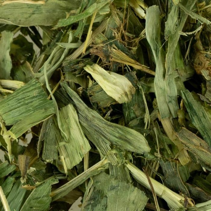 Hojas de mazorca de maíz naturales para loros
