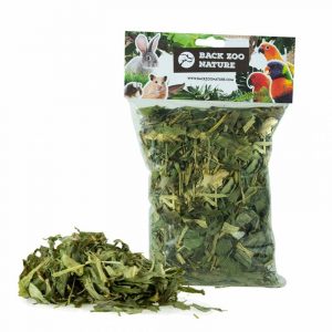 Hojas de mazorca de maíz naturales para loros