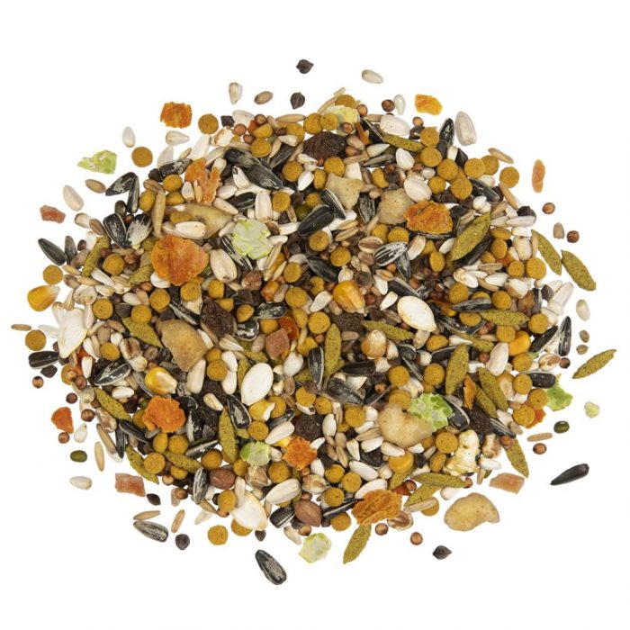 Alimentación de mixtura para loros
