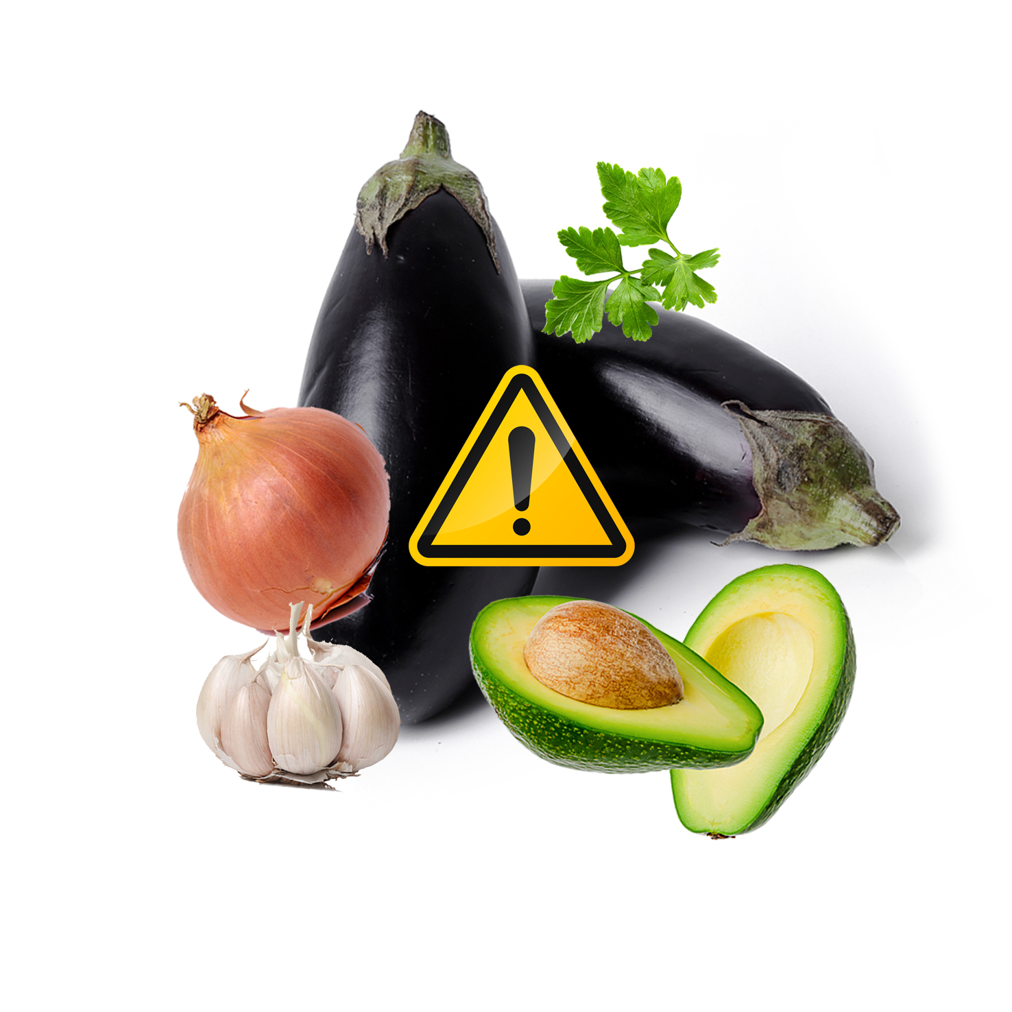 Verduras y hortalizas que no puede comer un loro loropets