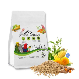 Pienso de semillas, hierbas y vegetales para loros