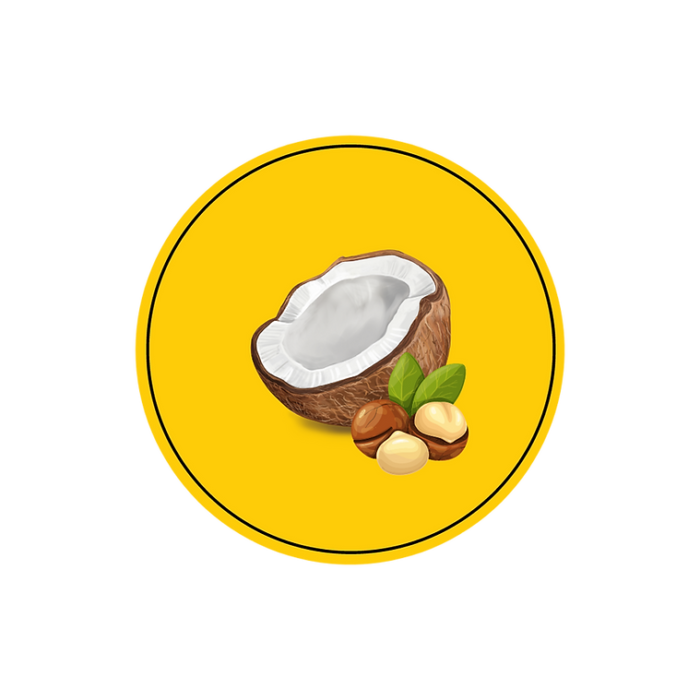 Icono de coco y frutos secos para loros