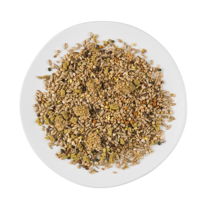 Mezcla de semillas gourmet pura y variada seleccionada para aves tropicales