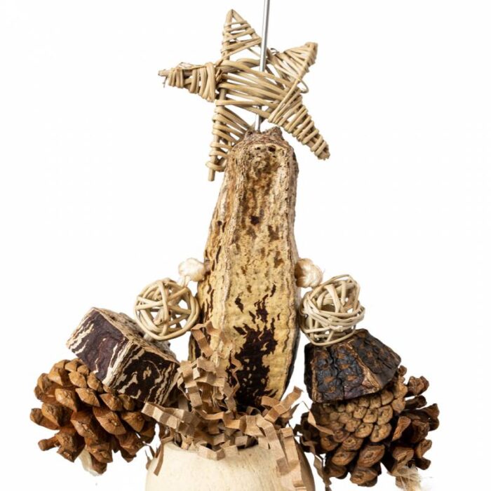 Forest Star - Imagen 2